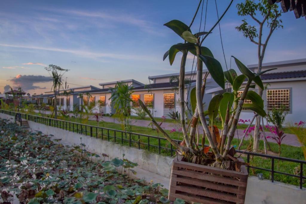 Ry'S Lotus Resort D'Angkor Siem Reap Exteriör bild