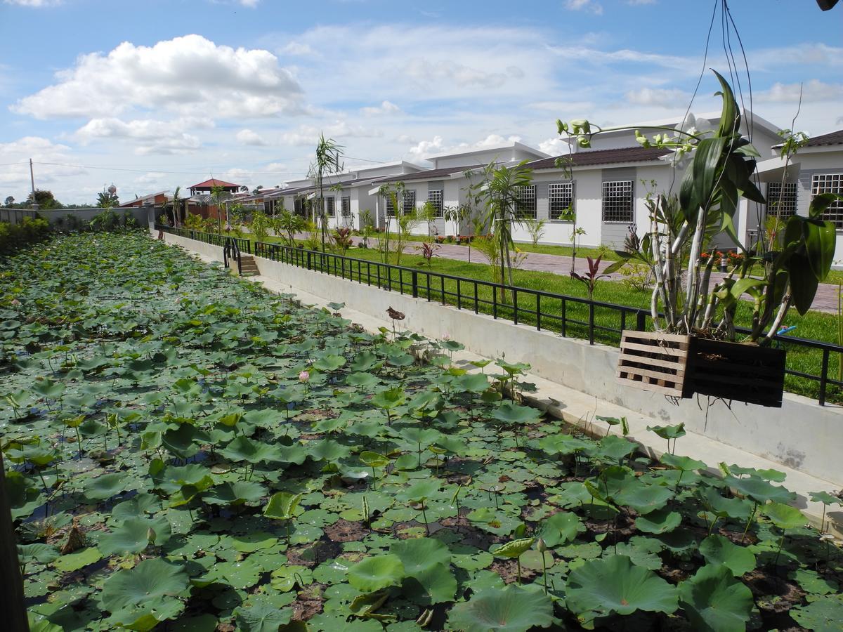 Ry'S Lotus Resort D'Angkor Siem Reap Exteriör bild